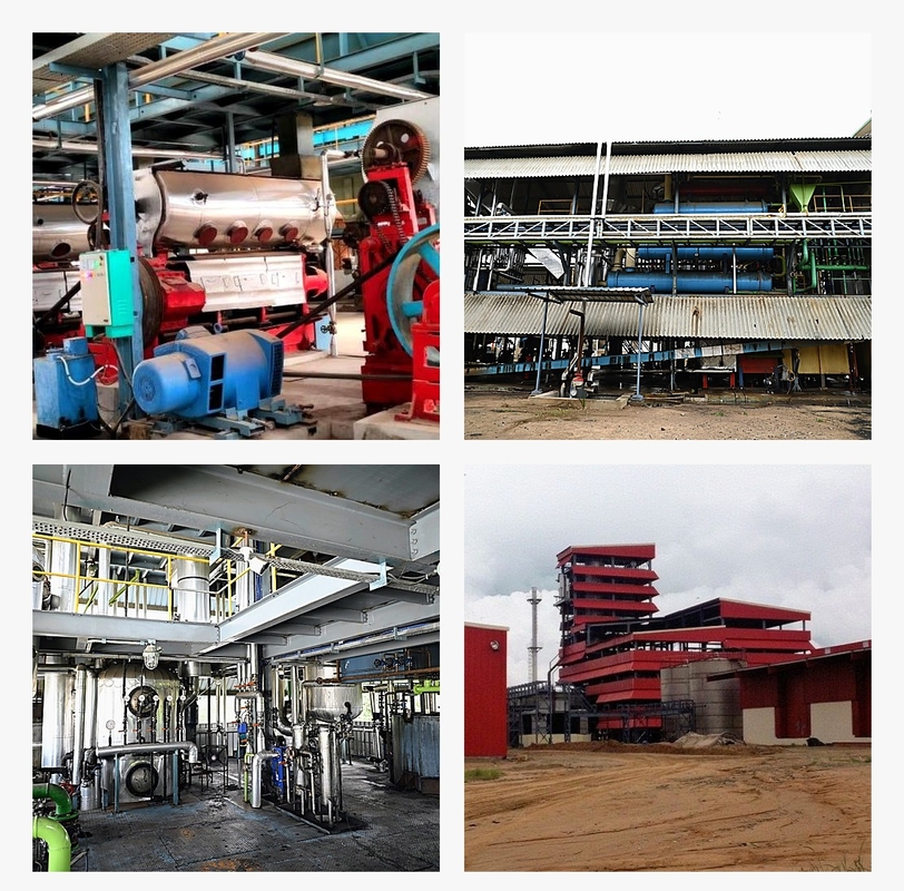 Oilseeds and edible oil processing
