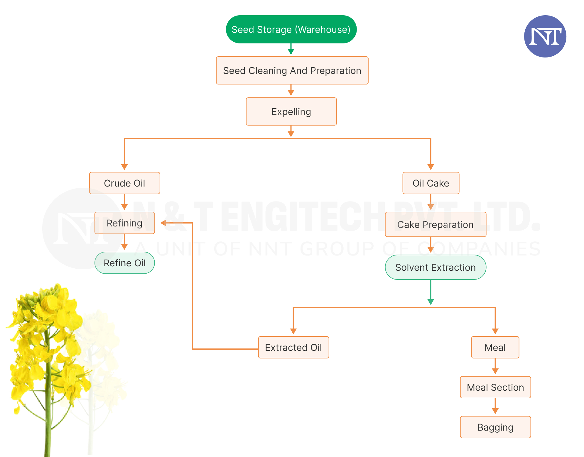 Sunflower Oil Process