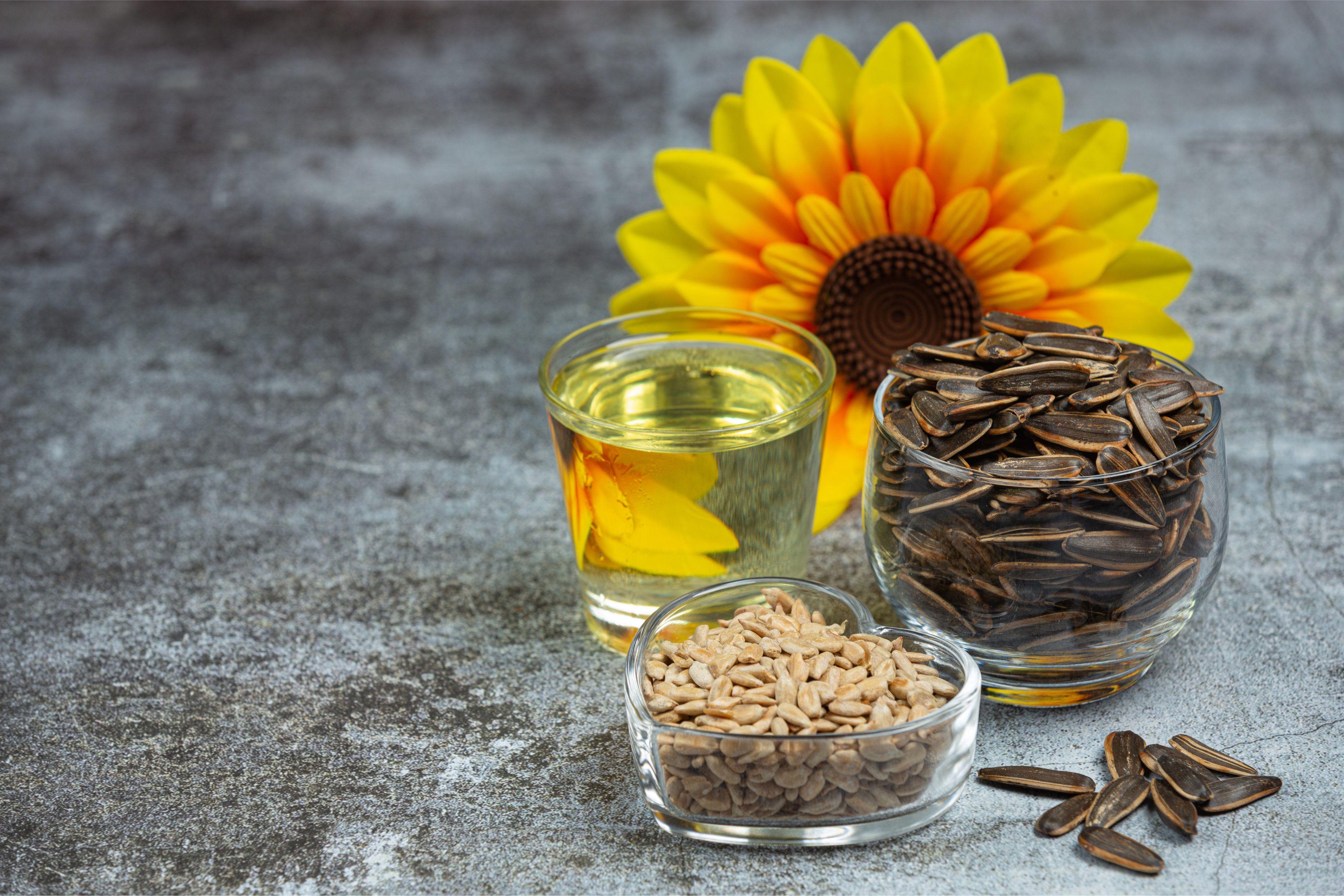Sunflower Oil Plant